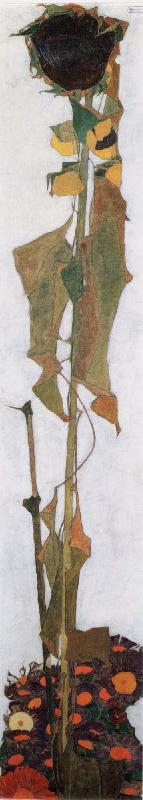 Egon Schiele Sunflower II